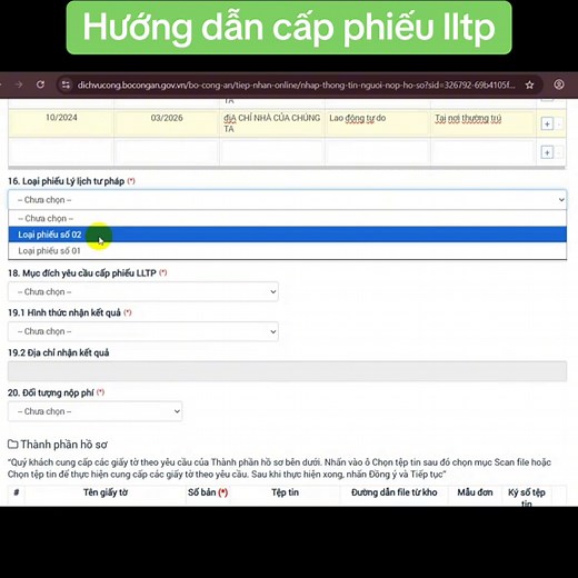 Hướng dẫn cấp phiếu lý lịch tư pháp online