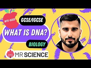What is DNA? | DNA structure | Bite-sized | GCSE | IGCSE Biology | Mr Science in 8K