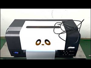 Procolored F13 Pro Panda DTF Printer Installation Guide