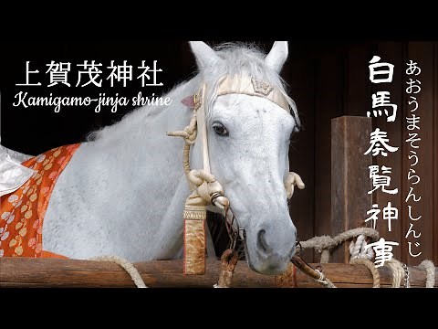 【白馬奏覧神事】2022上賀茂神社/白馬節会