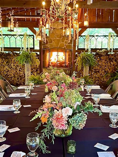 The Tree House Tavern on Reels