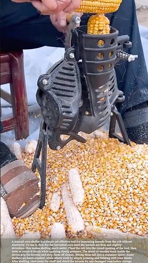 How to Use a Manual Corn Sheller for Fast, Easy Harvesting #gardeningtips #satisfying #farming