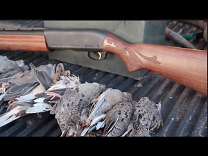 Pan Fried Dove {CATCH CLEAN COOK} plus a new tool!