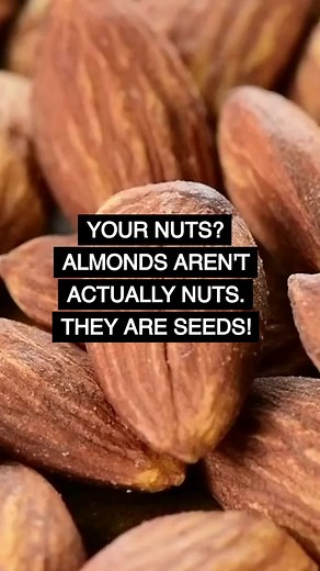 ALMONDS - Nutrition Facts & Health Benefits #Shorts #Almonds #Seeds #BrainFoodEnglish #BrainFood
