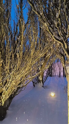 Invierno en El Calafate