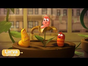 rival | Animation Compilation | Larva Tuba | Official - Videos For Kids