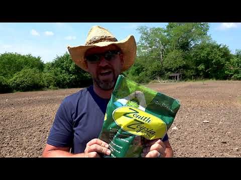 Reseeding a lawn from scratch with Zenith Zoysia Grass