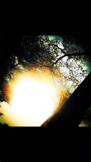 These cameras will make you love fine art street photography