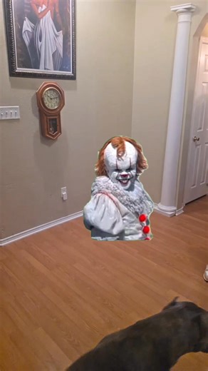 My dog always in my face | Mattie