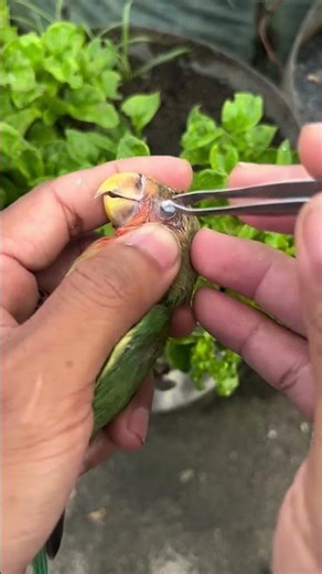 overcome snot