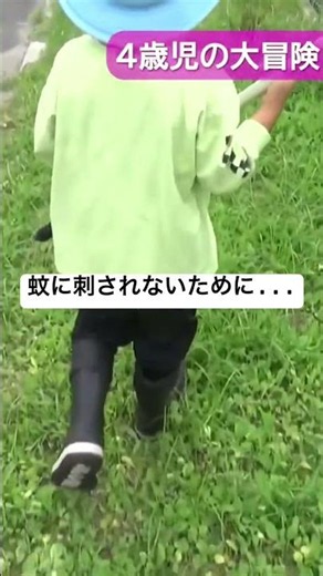 【親子で虫とり】蚊に刺されないための対策！ #虫とり #親子 #蚊 #虫刺され