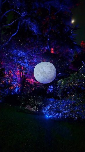 Lightscape 2025 at the Botanical Garden in Golden Gate Park, San Francisco