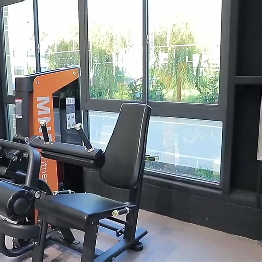 Workout Super Quality Commercial Gym Machine Free Pin Loaded Gym Fitness Strength Equipment Leg Extension/Curl Machine