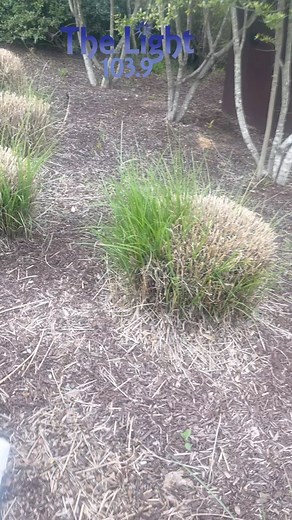 We are here at the @tyetribbett concert here in Durham,NC! | The Light 103.9 The Triangle's #1 Station for Inspiration | Facebook