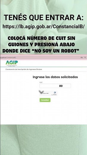 Paso a paso constancia ingresos brutos AGIP CABA
