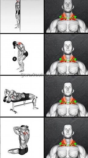 Build a Stronger Neck #neckworkout #neckexercises #necktraining #neckstrength #strongneck #gym #fyp