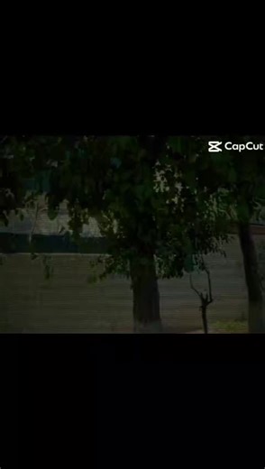 ZAking👑🤟 (@zumarking0)’s videos with original sound - ZAking👑🤟