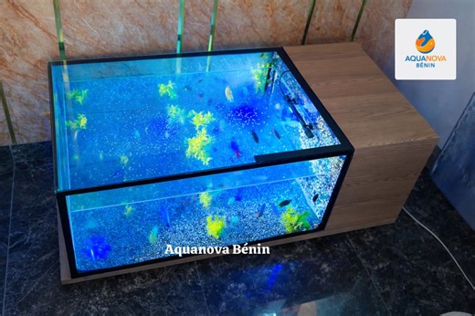 ♻️ Bien nourrir ses poissons, c’est protéger son aquarium 💧 Un excès de nourriture est la première cause de pollution de l’eau dans un aquarium. Pour garder une eau propre et des poissons en bonne santé : ❇️ Donnez une petite quantité que les poissons peuvent manger en 2 à 3 minutes. ❇️ Nourrissez 1 à 2 fois par jour maximum. ❇️ Retirez les restes de nourriture non consommés. ❇️ Choisissez une alimentation adaptée à chaque espèce. Une eau propre, c’est des poissons heureux et un aquarium toujou