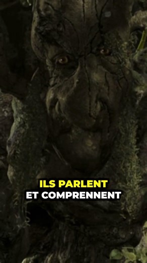Discover the origin of ENTS!
