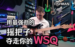 【让人害怕的摇把子】| FISHMAN 拾音器经受住了考验！！！（演奏版）