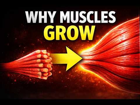 If You’re Not Doing THIS, You Won’t Build Muscle