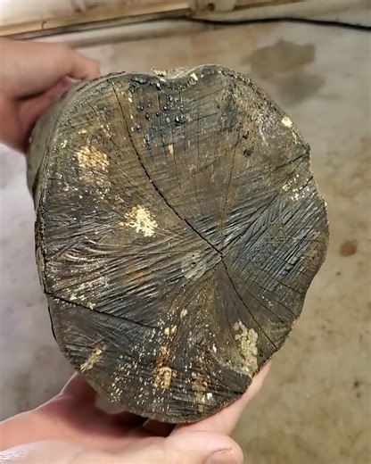 Woodturning 80 Years Old Log to 3 Bowl | DIY & Crafts