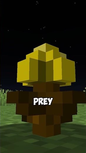 do not touch this golden dandelion...