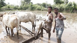 Telangana farmers take internet by storm with their Kiki Challenge video