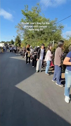 Craziest Line for TJ’s Striped Mini Canvas Tote Bags 🤯 #traderjoes #traderjoesfinds #totebag