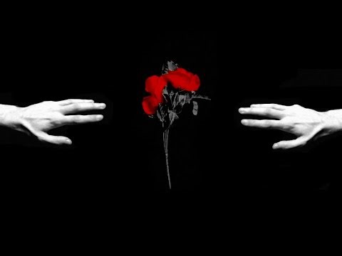 ROSE - A Short Film