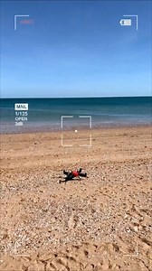 3.4K views · 12 reactions | Getting big baits out in record time落 Fisherman Max making it look effortless 麗 @NT Shark Wranglers | Swellpro | Facebook