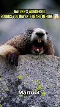 Wonderful sounds of amazing creatures🎶🤯