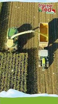 Tractor Ted’s Farm Countdown 🎄 Door 20 Is Here!