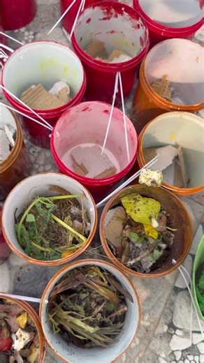 Unique Gardening Ideas for Your Terrace Garden | Creative DIY Garden Hacks #gardeningshorts