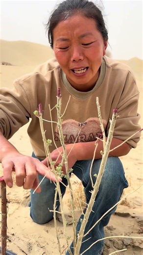 Surviving the Desert: Can Trees Thrive in Sand