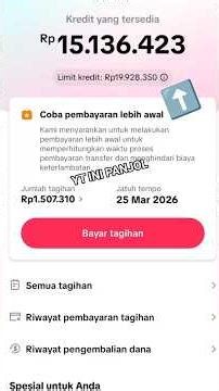 How to Pay TikTok Paylater Bills - Borrow Money on TikTok
