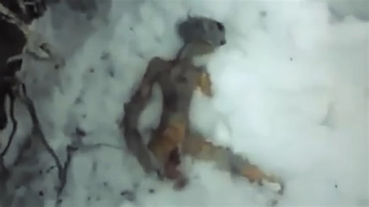 A viral UFO case showed a body in the snow - but the biggest clue was not the creature itself