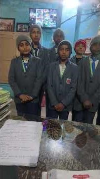 there are some words meaning to listen from students#grammar#english#viral#math#reading