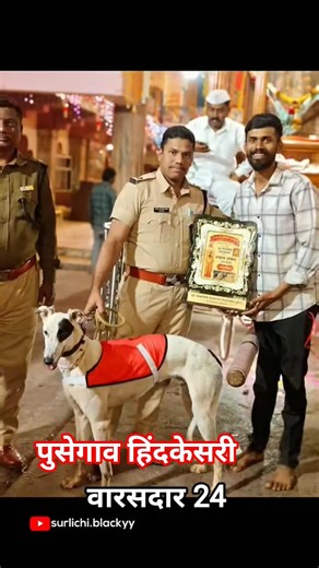 पुसेगाव हिंदकेसरी "वारसदार 24" 💥 / Surlichi Blackyy / #shorts #blackyy #नाद #trending #vairal