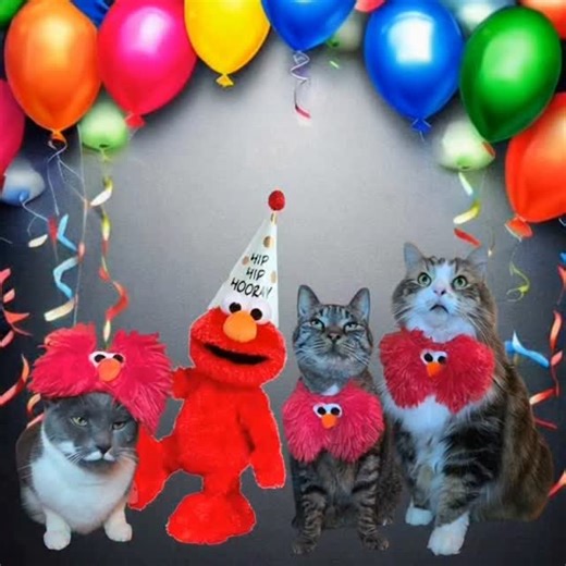 Sonny See on Instagram: "🎉Yesterday was Elmo's birthday! We decided to celebrate with him by wearing our Elmo bows [AriellasGlamBows on Etsy] & singing one of his most famous songs! ❓️Did mew know? ❤️Elmo is a perpetual three-year-old monster known for his high-pitched voice & habit of speaking in the third person. Since his debut on Sesame Street, he has become one of the show’s most iconic characters, hosting the popular "Elmo's World" segment. ❤️​Originally a background puppet, Elmo rose to