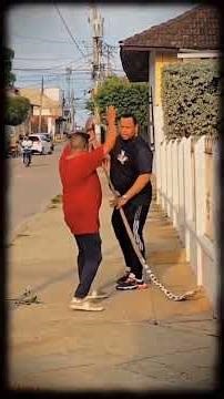 "Slithering Laughter: Hilarious Snake Humor Takes Over the Streets!" #funny #laughoutloud