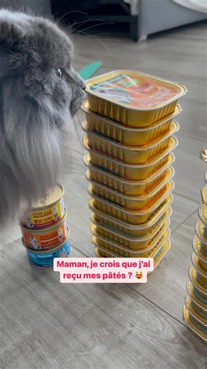 Bénéficiez de -30% sur votre 1ère commande Edgard Cooper avec le code HEYSANSA30 !