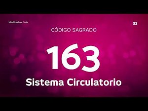 Sacred Code 163 | Circulatory System