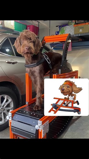 Discover EKO: The Inspiring PudelPointer