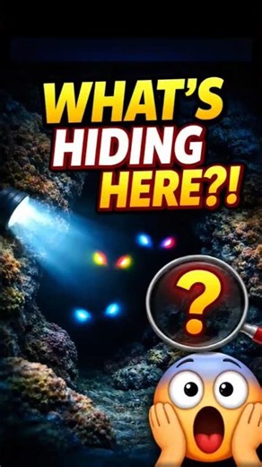 Mantis Shrimp Ka Deadly Punch 💥 | Fastest Strike in Ocean 😱 #shorts