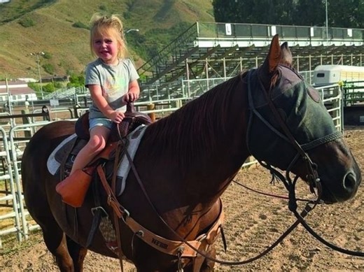 Rodeo star Kelsie Domer's 3-year-old dies in 'freak' horse accident