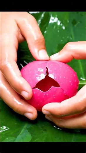 Tiny Pond Surprise! ✨ Found Nemo, Pencil Fish & Baby Turtles! 🐢💙