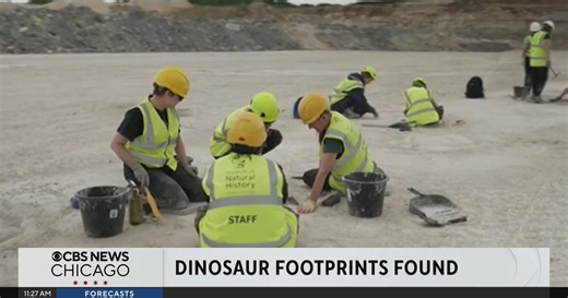 Massive trail of dinosaur footprints found in England