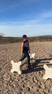 Breaking Down how I use Cavaletties to Improve Posture in Performance Horses…. Sometimes it’s hard for me to explain every detail while I’m working a horse, so here’s more explanation featuring me creating the movement. 🤣(I don’t mind looking silly if it helps horse owners learn!) | Superior Therapy