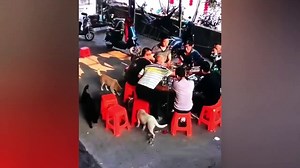 Instant Regret - Fails Compilation _ Fails Compilation